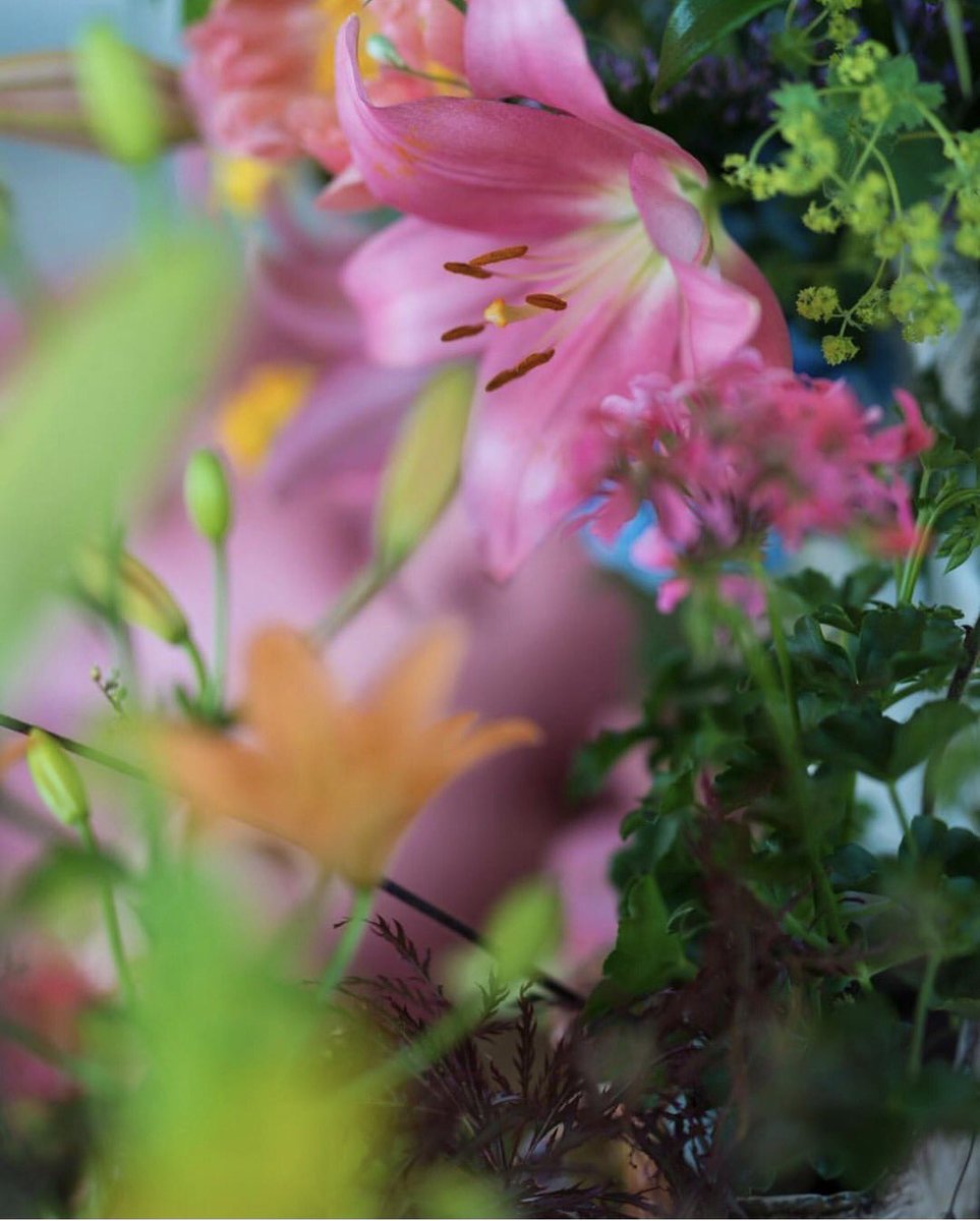 Debby de Jongh (@imanselelies) on Twitter photo 