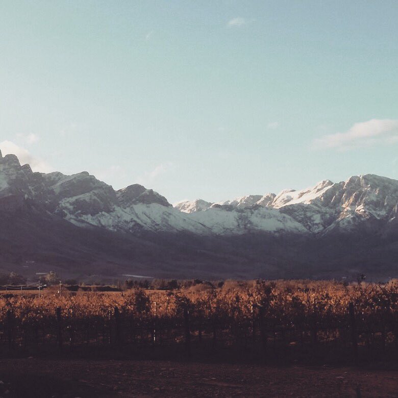 RunTheuniskraal's tweet photo. If you were running #TTR17 today, this would be 1 of the views! #TestedTough #TheuniskraalTrailRun #trailrunning #Tulbagh #WeRunThisTown https://t.co/hnvEuS4VI2