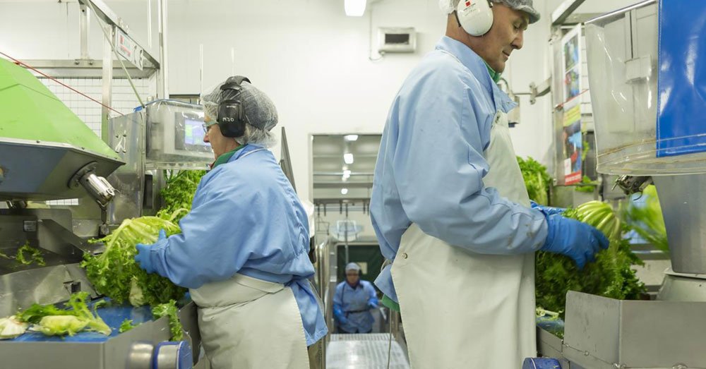 DNManagement's tweet photo. Florette invertirá 2 millones en la planta de #Argueda para duplicar su capacidad productiva https://t.co/YxEsSrzpAK #Navarra @Florette_es https://t.co/JWaXdNA61r