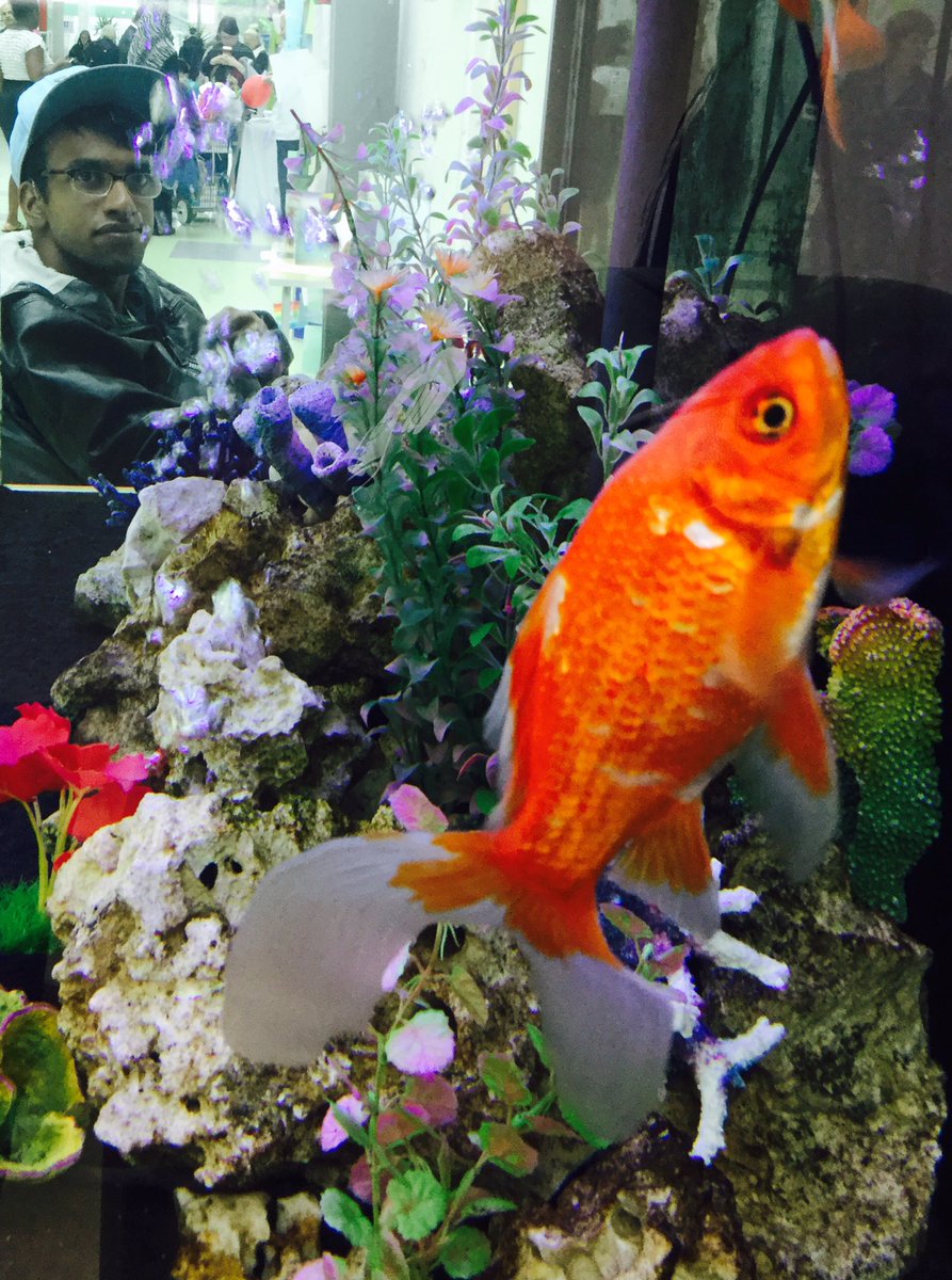 Did you know Colossal squids digest food with their brains! Happy #WorldOceansDay