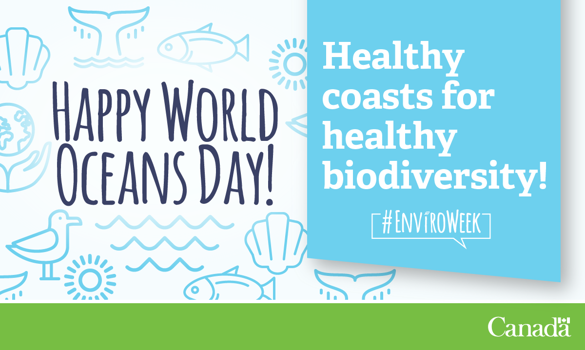 This #WorldOceansDay, learn more about Canada’s Marine Protected Areas.
ow.ly/86RG30cqk0K #EnviroWeek