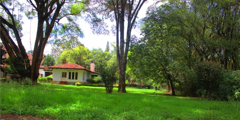 afrihome's tweet photo. Panoramic Vacant Land For Sale In Lavington along Kabarsiran Avenue
plot has 42 years remaining on the lease
@ KSHS 180 M
CALL +254706801784 https://t.co/KqTRc84b00