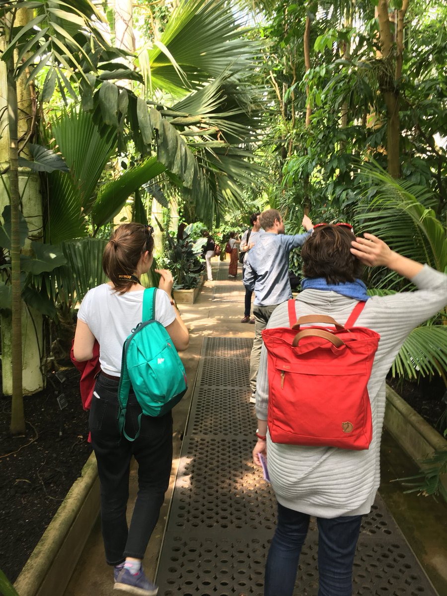 LTStudioLA's tweet photo. Enjoyable team away day to @kewgardens 
#hiveinstallation #sacklercrossing #treetopwalkway https://t.co/Ib2iz4Ysbo
