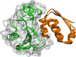 BiBcn's tweet photo. Scientists reveal for the first time the details of protein association at the atomic level https://t.co/uZnQlP9WTJ #GPUGRID #GPU https://t.co/lsQAcLlNUl