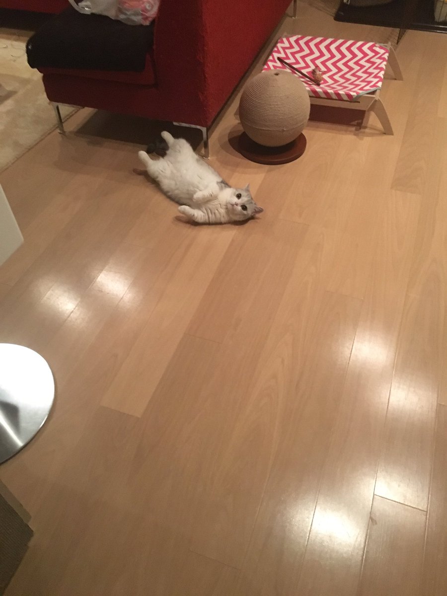 @345__chanの画像