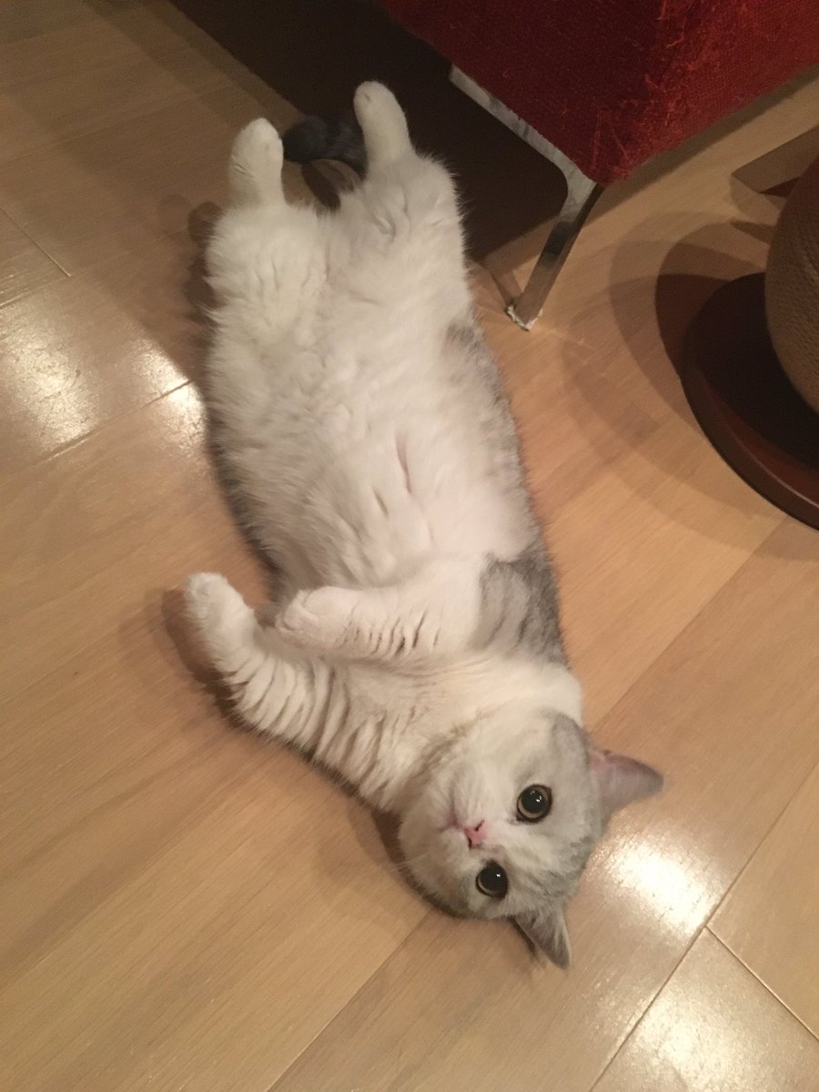 @345__chanの画像