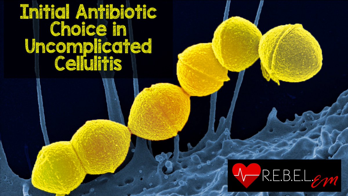 srrezaie's tweet photo. Initial Antibiotic Choice in Uncomplicated Cellulitis via @EMSwami https://t.co/Cp4m8rKe8B #FOAMed https://t.co/nkiVVLaUTC