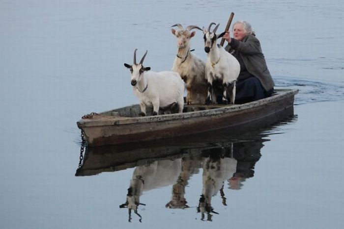If you don't vote I will deny you a ride on the goat boat. #Vote2017