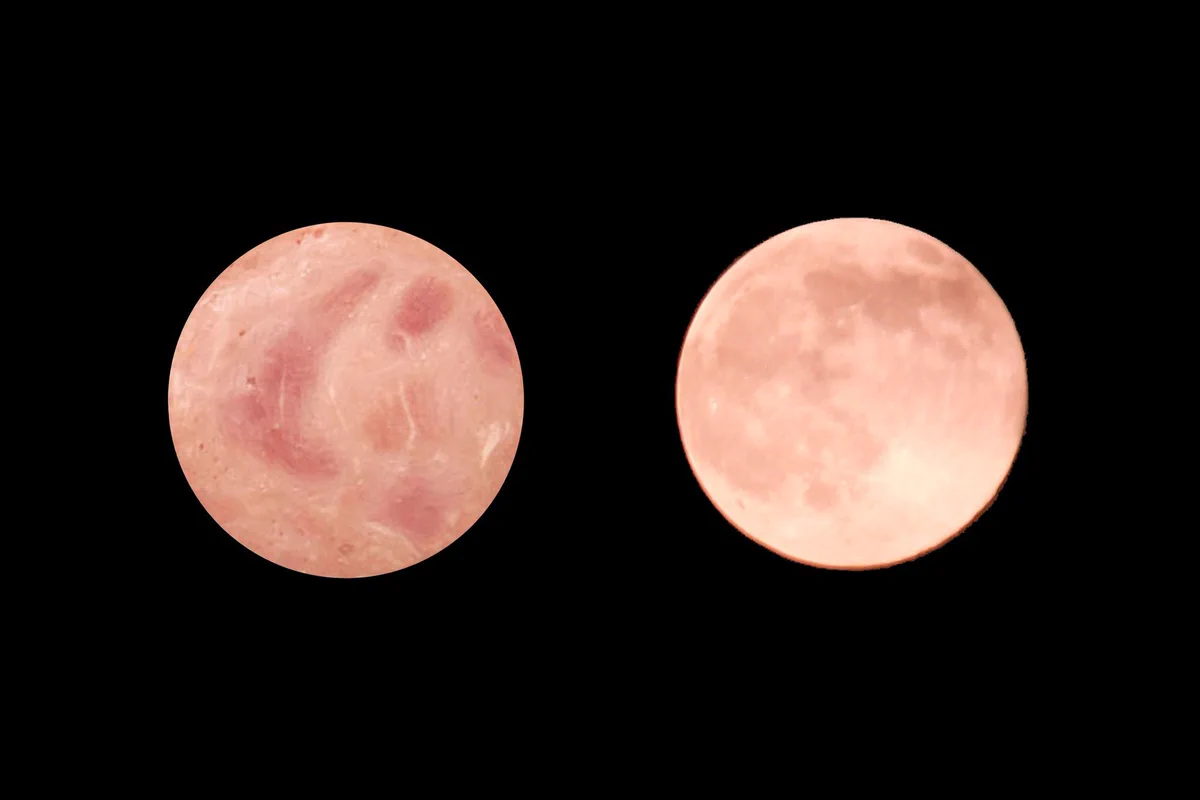 あなたには分かるか？ハムとストロベリームーンを見極めろ！ｗ