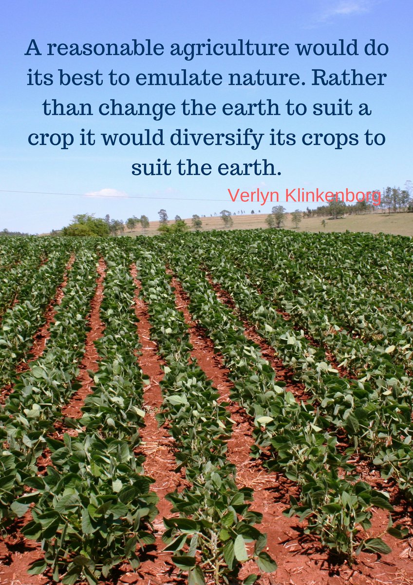AyeiAfrica's tweet photo. Nature https://t.co/PSvY8snEAH