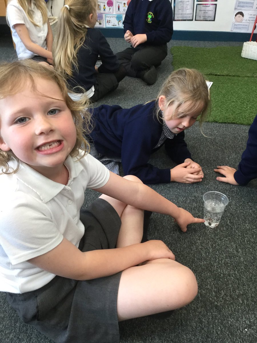 Harts_FS1's tweet photo. Having fun with science in Class 3 @hartsholmeacad #hartsholmescientists https://t.co/WlkCe9p2yj