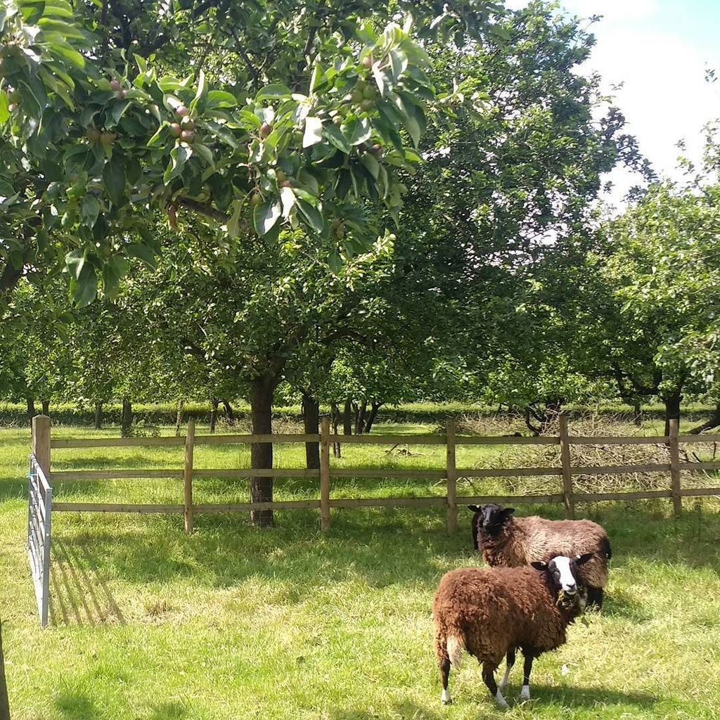 Cideradventuresuk tweet media