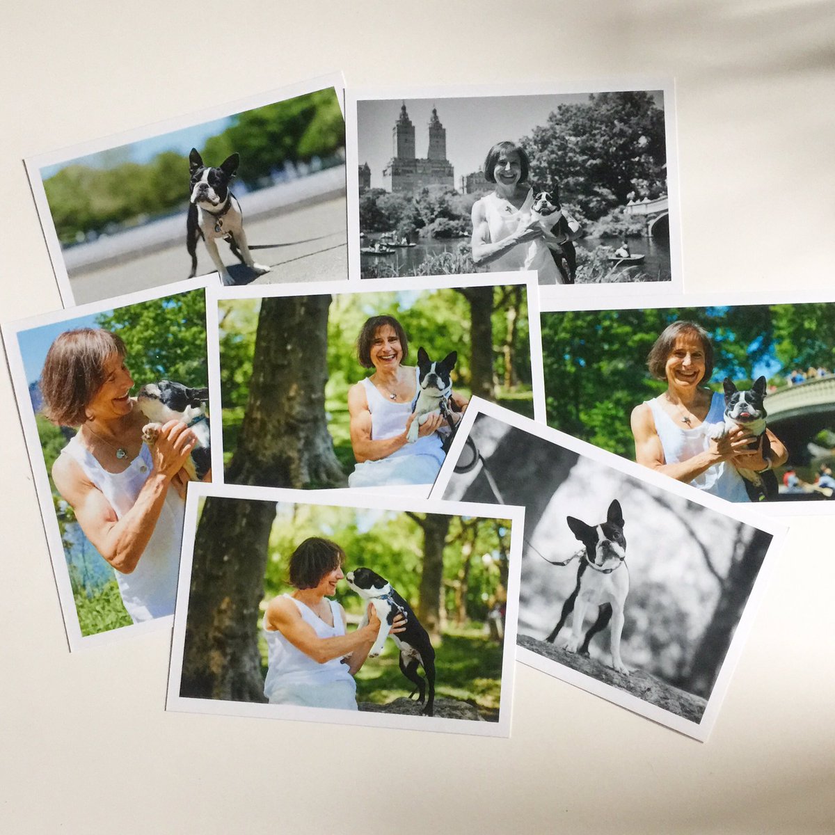 BopreyPhoto's tweet photo. Emily &amp; Hamilton in #centralpark https://t.co/d8iDGv2Yyz