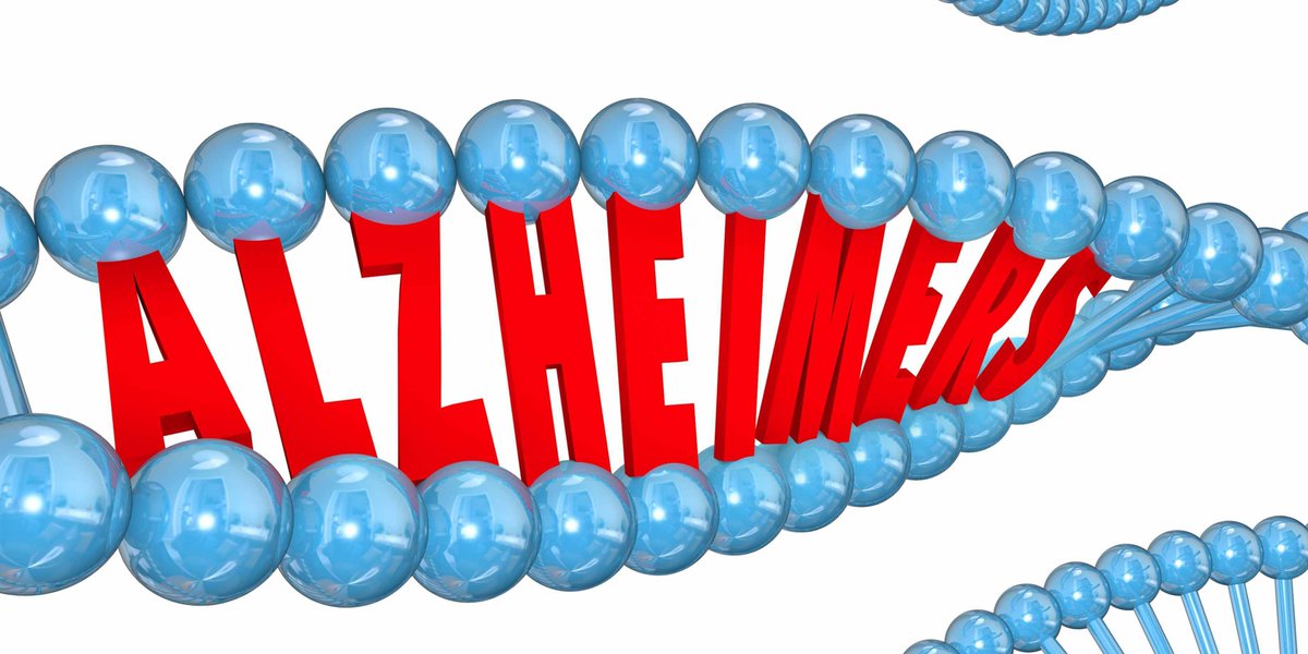 ashooghiemstra's tweet image. Mutations in the #SORL1 gene associated with #alzheimer, published in #EJHG: go.nature.com/2sXjV5s