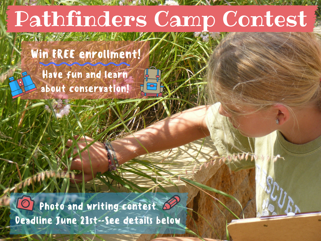 Want to win FREE enrollment to our Pathfinders Summer Camp? Check out our Youth Photography and Writing Contest at bit.ly/2qZlfVb