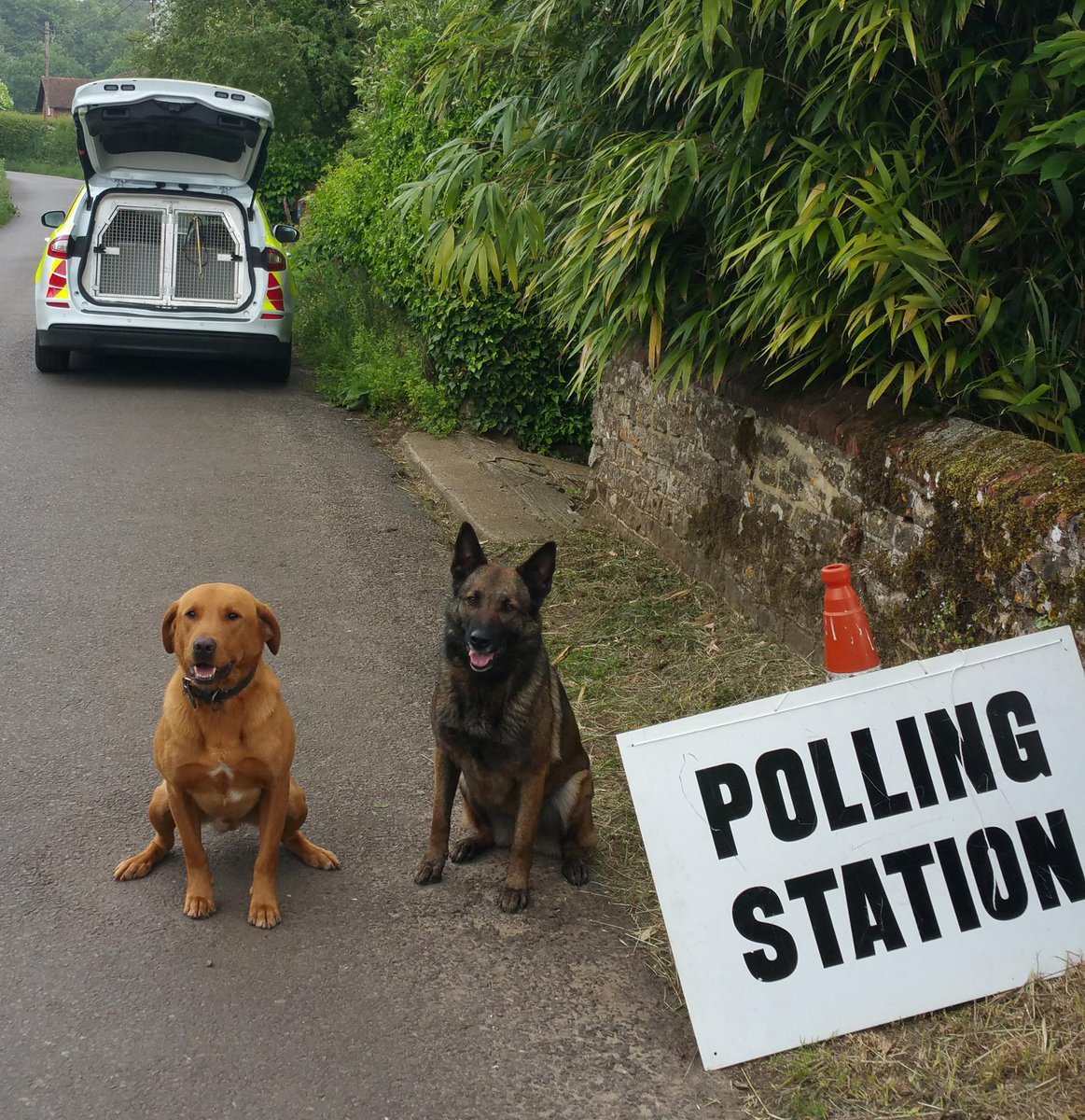 SurreyPolice's tweet photo. 🐾 PD Woody &amp; PD Ethel 🐾 
'Pawsing' at a local polling station in between jobs today 🐶
#DogsAtPollingStations https://t.co/BZKFpWbkSW