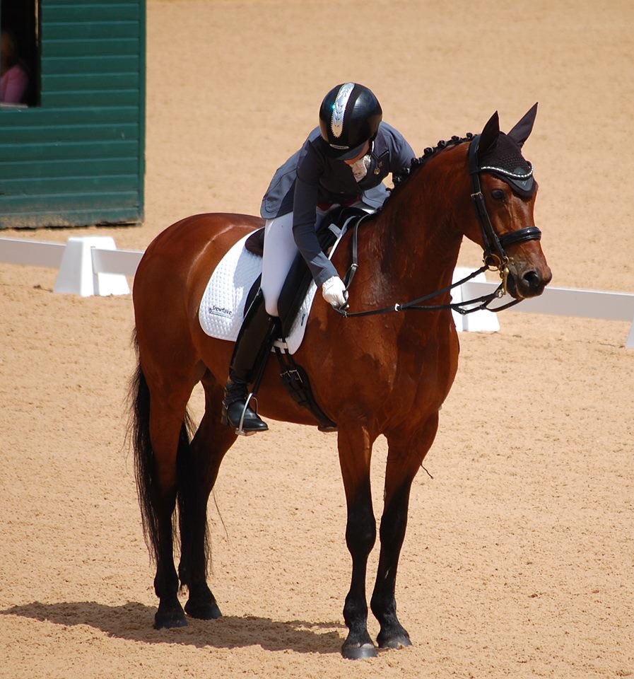 Izzypdressage's tweet photo. Touchdown winning the BD gold semi finals yesterday 😊#snowflakebedding @plevinproducts @jamieplevin @PlevinUK https://t.co/3FGfAEPLrt