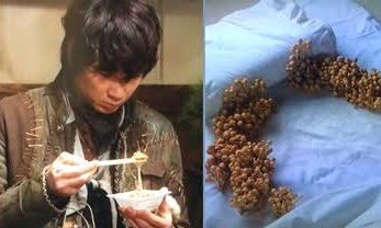 岸和田おやじ En Twitter 納豆を食べたら 納豆キノコ が布団に生えるという男なら知ってますw