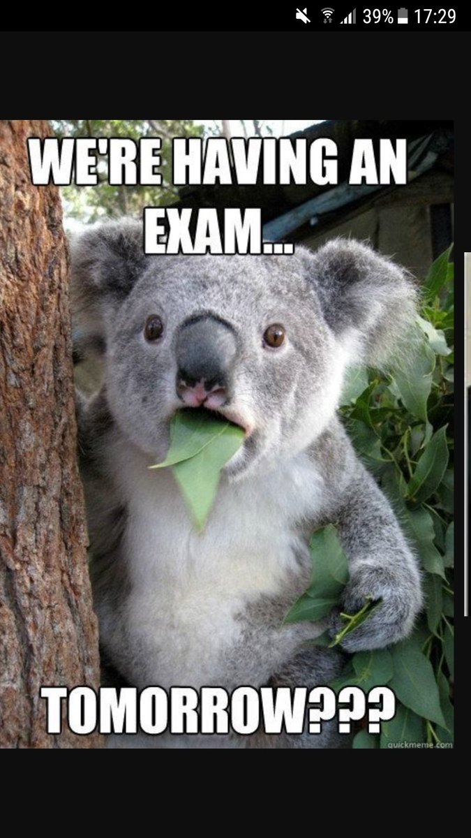 IssuesExam's tweet photo. We all know that one person! https://t.co/ppqK2z6rr3