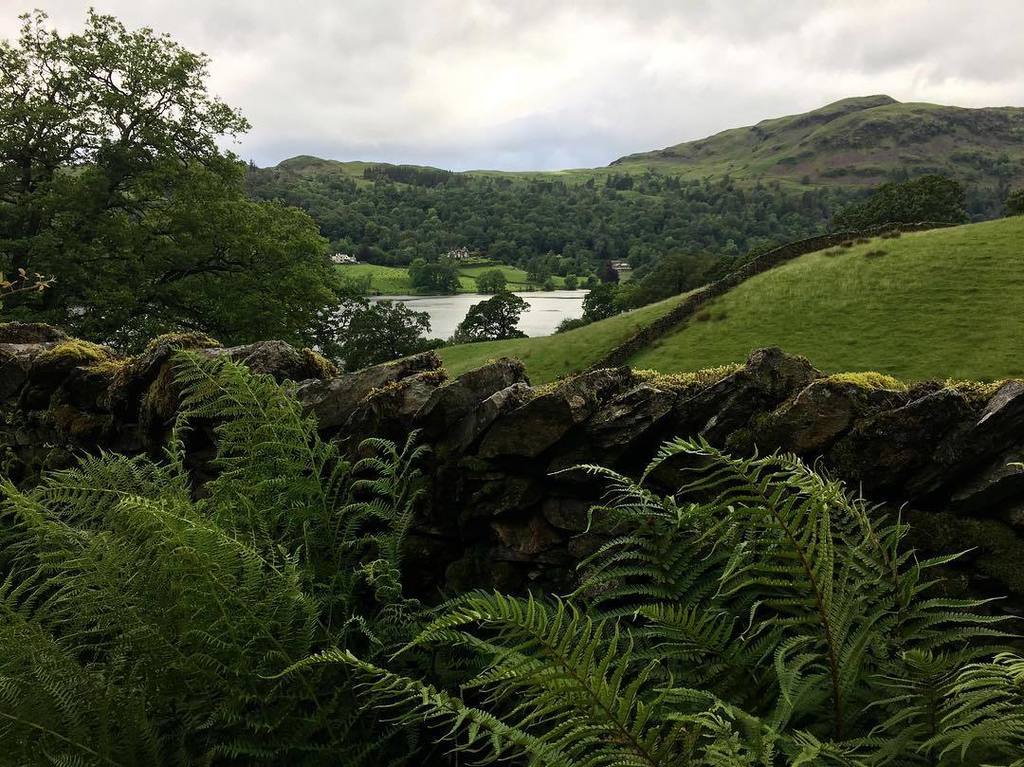 WordsworthGras's tweet photo. Beautiful shades of green all around #grasmere at the moment. Somehow the rain seems to make them even more vibrant. #lakedistrict #theplac… https://t.co/sTyntp9JzK