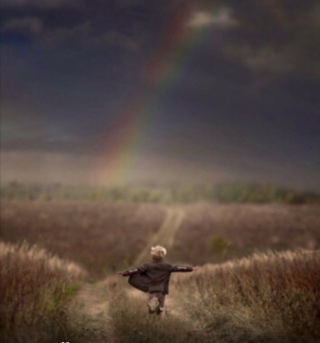 Joy Bella tweet media