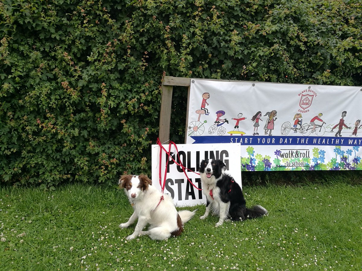 holman_matt's tweet photo. #dogsatpollingstations Peggy-Sue and Patrick voting. https://t.co/8HvBkqGpUL