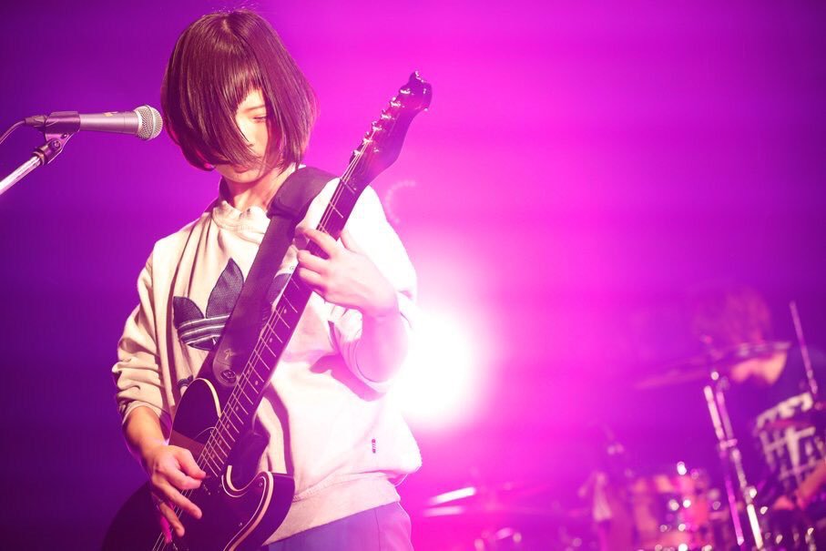 shishamo hashtag on twitter shishamo hashtag on twitter