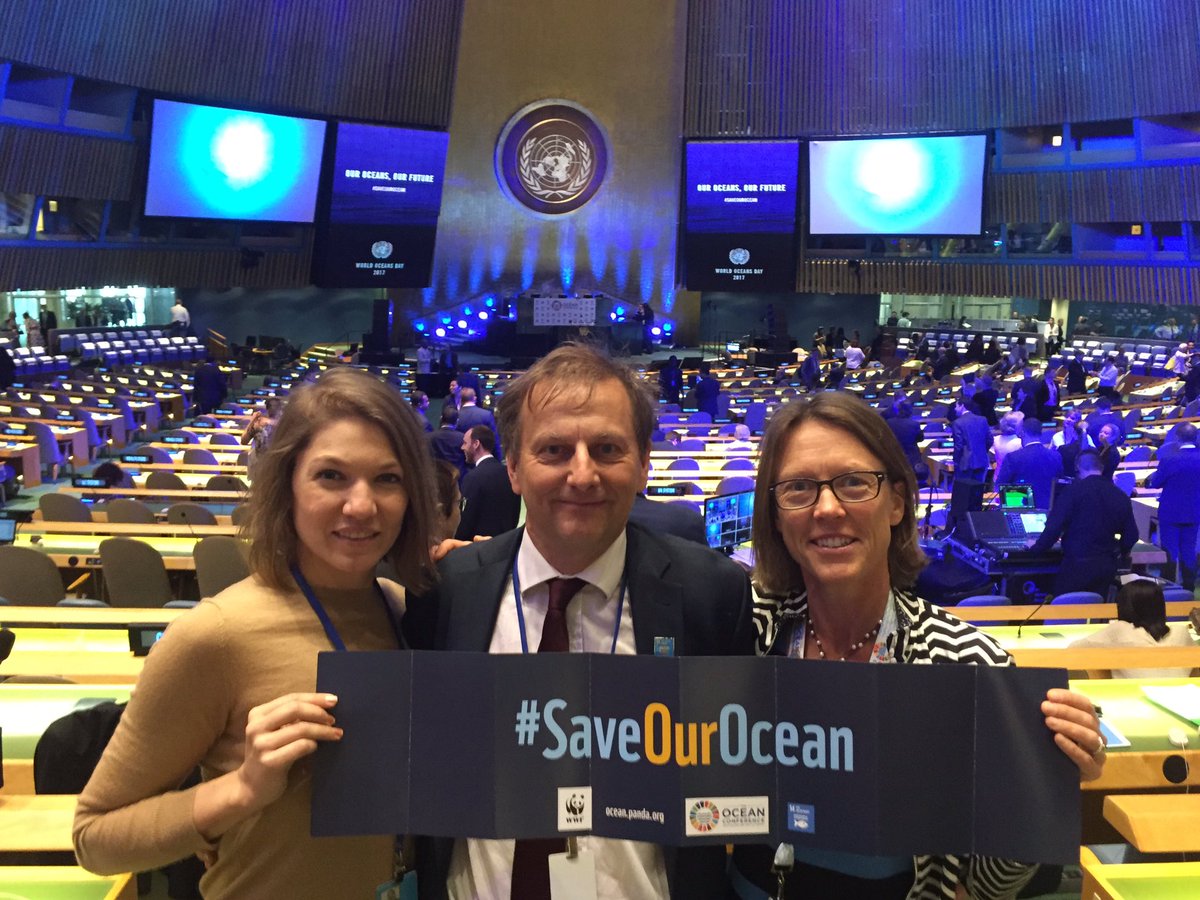TomArnbom's tweet photo. World Ocean Day at UN. The ocean needs you urgently. @WWFSverige @AshMcGovern @saveourocean @wwf https://t.co/ALPPX4d4am