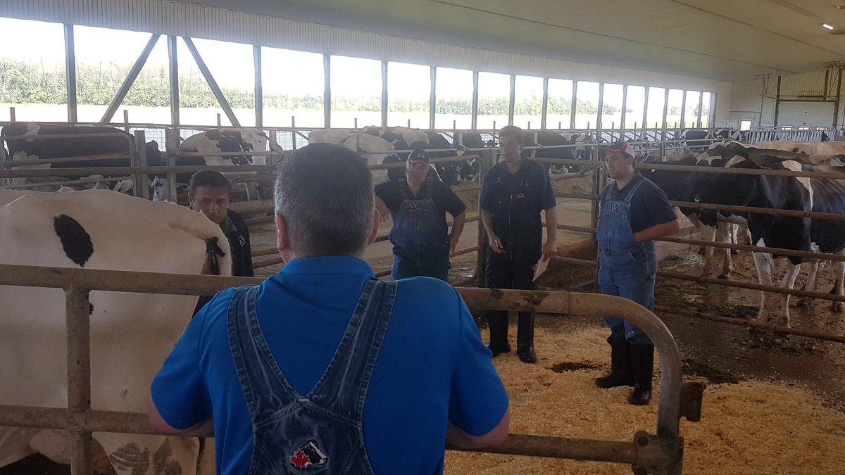 Classifier Confernece Farm day 2! Many thanks to Smithden for hosting!