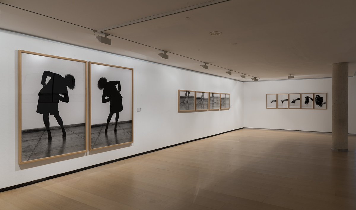 gva_IVAM's tweet photo. Fins el diumenge pots visitar l'#exposició '#HelenaAlmeida. Corpus'! #últimsdies https://t.co/65wCMNQD61