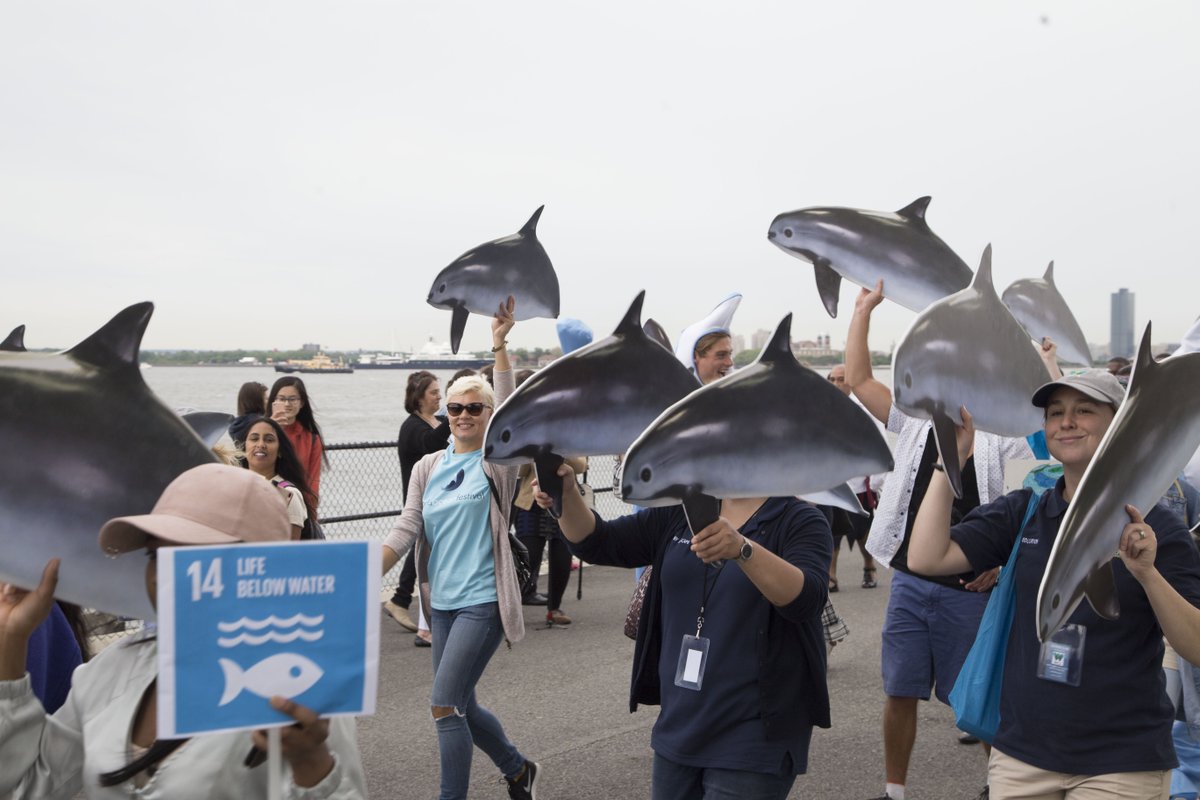 World Ocean Festival tweet media