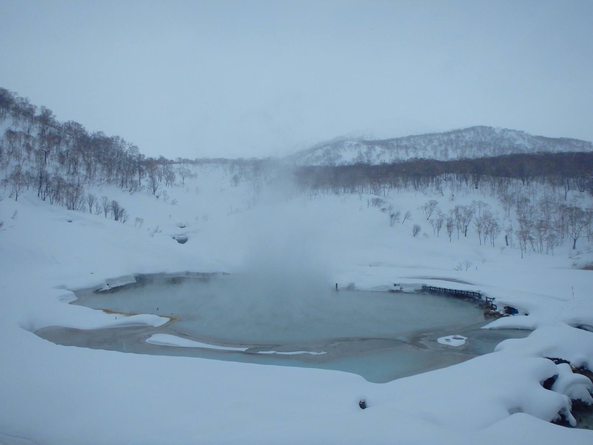 北海道LOVERS tweet media