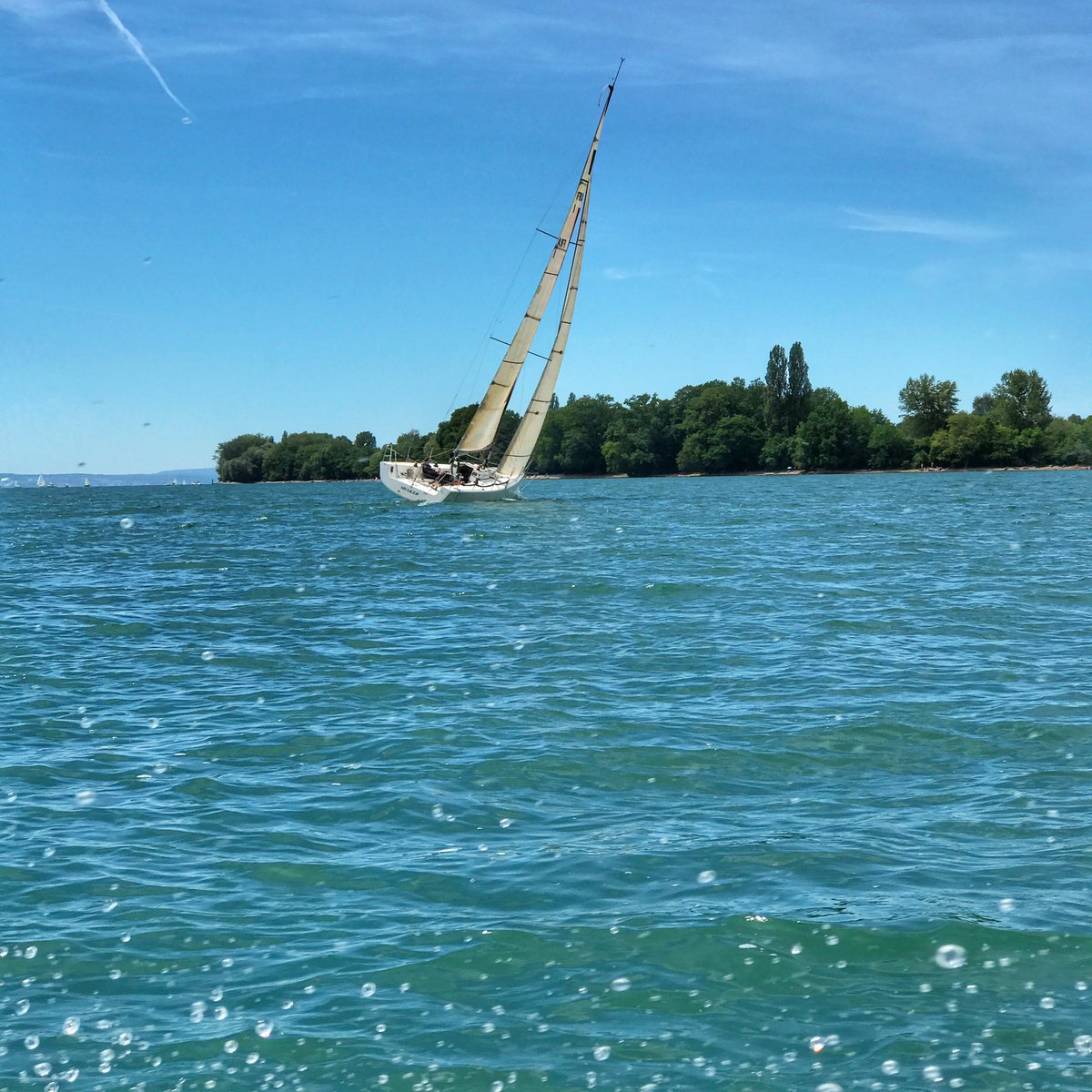 derstephanbeck's tweet photo. Segeln am #bodensee #dersee #langenargen #sail #sailaway #sailing https://t.co/241Q43WTko