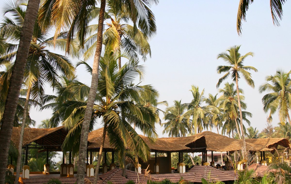 DevaryaWellness's tweet photo. #Devaryawellness - join us for #yoga #yogaretreats #yogaholidays surrounded by tropical gardens & overlooking the sea #nature #goa #india https://t.co/HWaTe6Y6b2