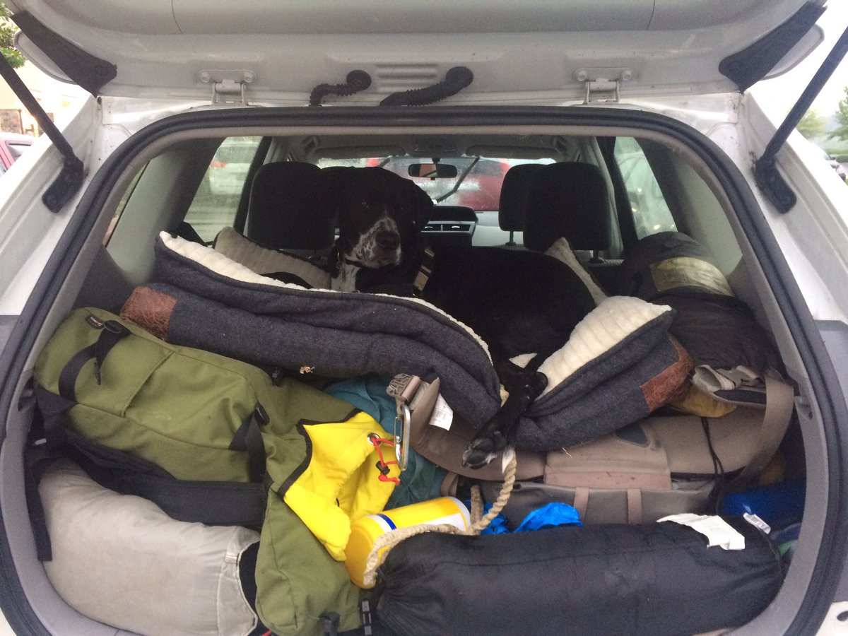 matthew_t_rae's tweet photo. @GreatSmokyNPS dogs are at home on the trail not the car - let dogs on the smokies #pupsinparks #nationalparks https://t.co/iNaHhycr0q