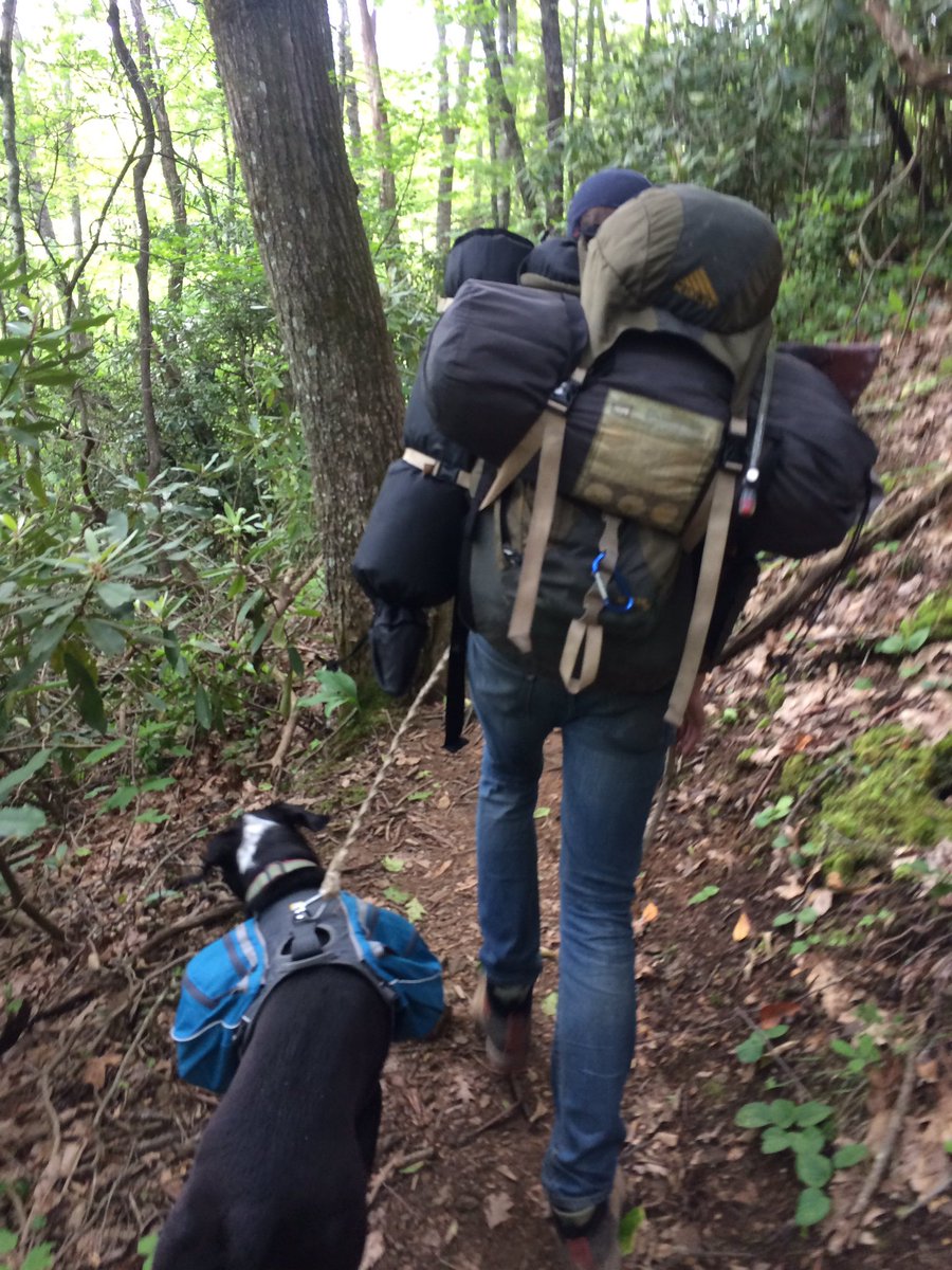 matthew_t_rae's tweet photo. @GreatSmokyNPS don't keep us on a short leash- allow dogs on leashes in the smokies #pupsinparks #nationalparks https://t.co/Ub8yj2drq8