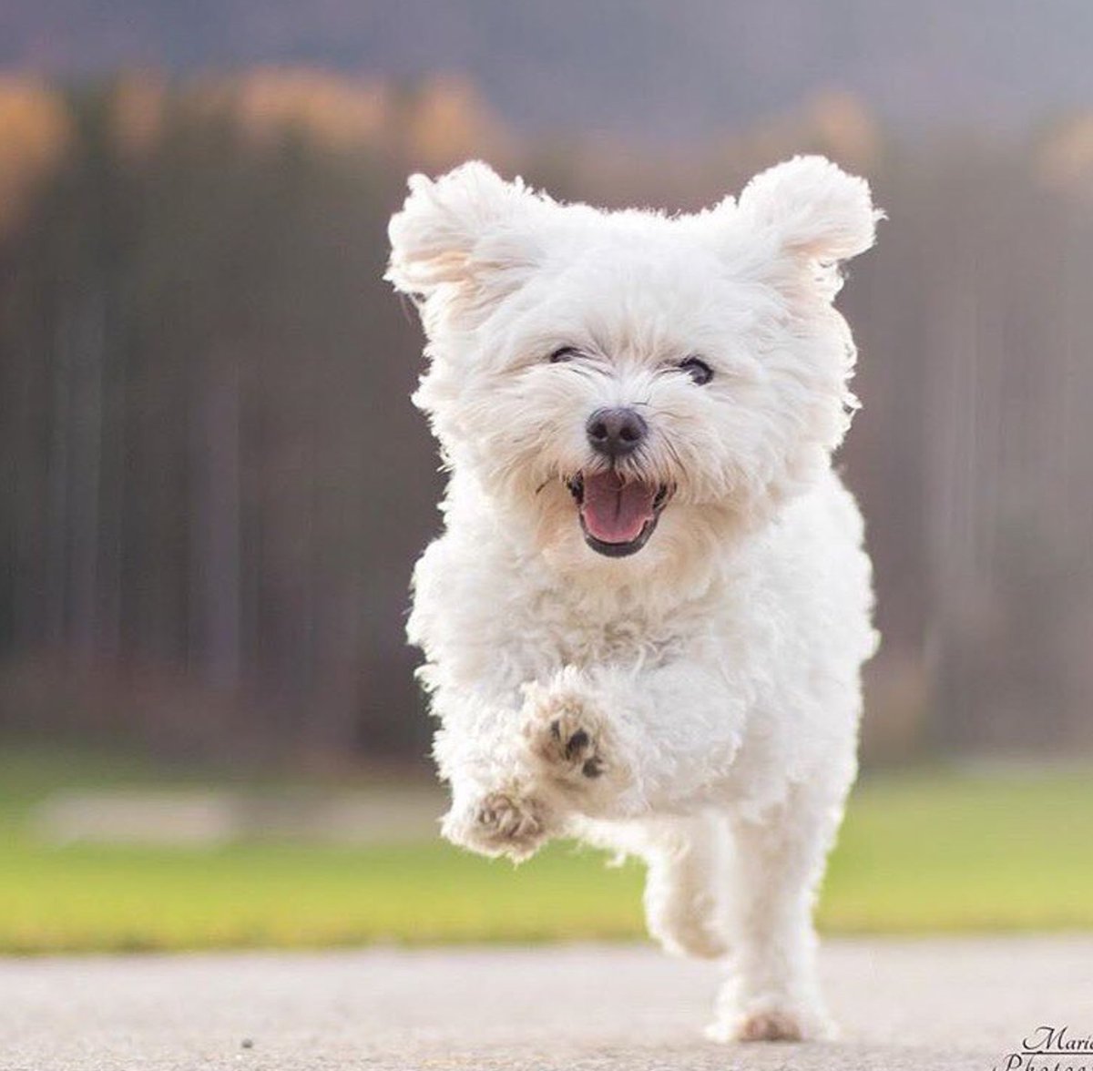 Wear Felicity tweet media