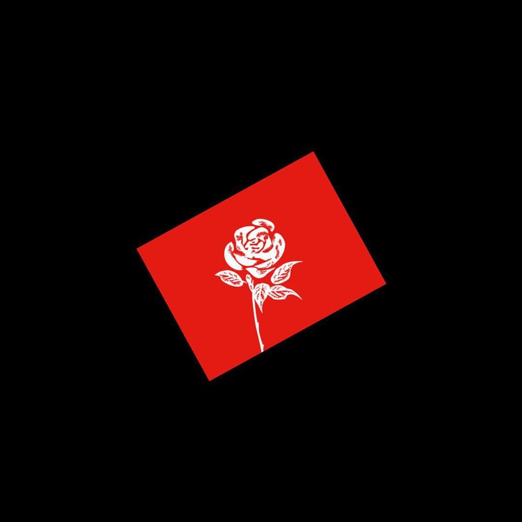 Night Owl tweet media