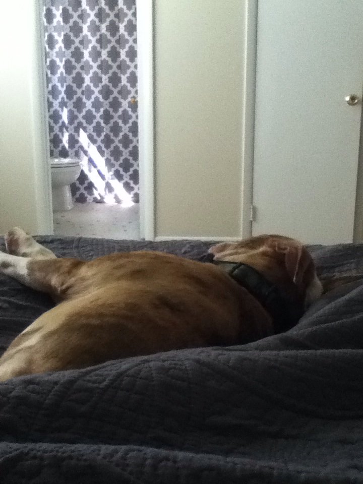 darbybrowning's tweet photo. I will never have my bed empty... #BeyondMad https://t.co/ncxkSguvxQ