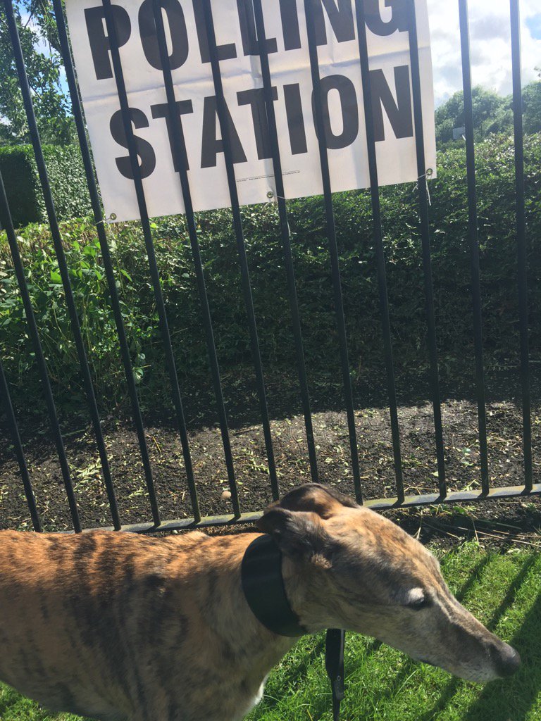 Hunters Monkey tweet media