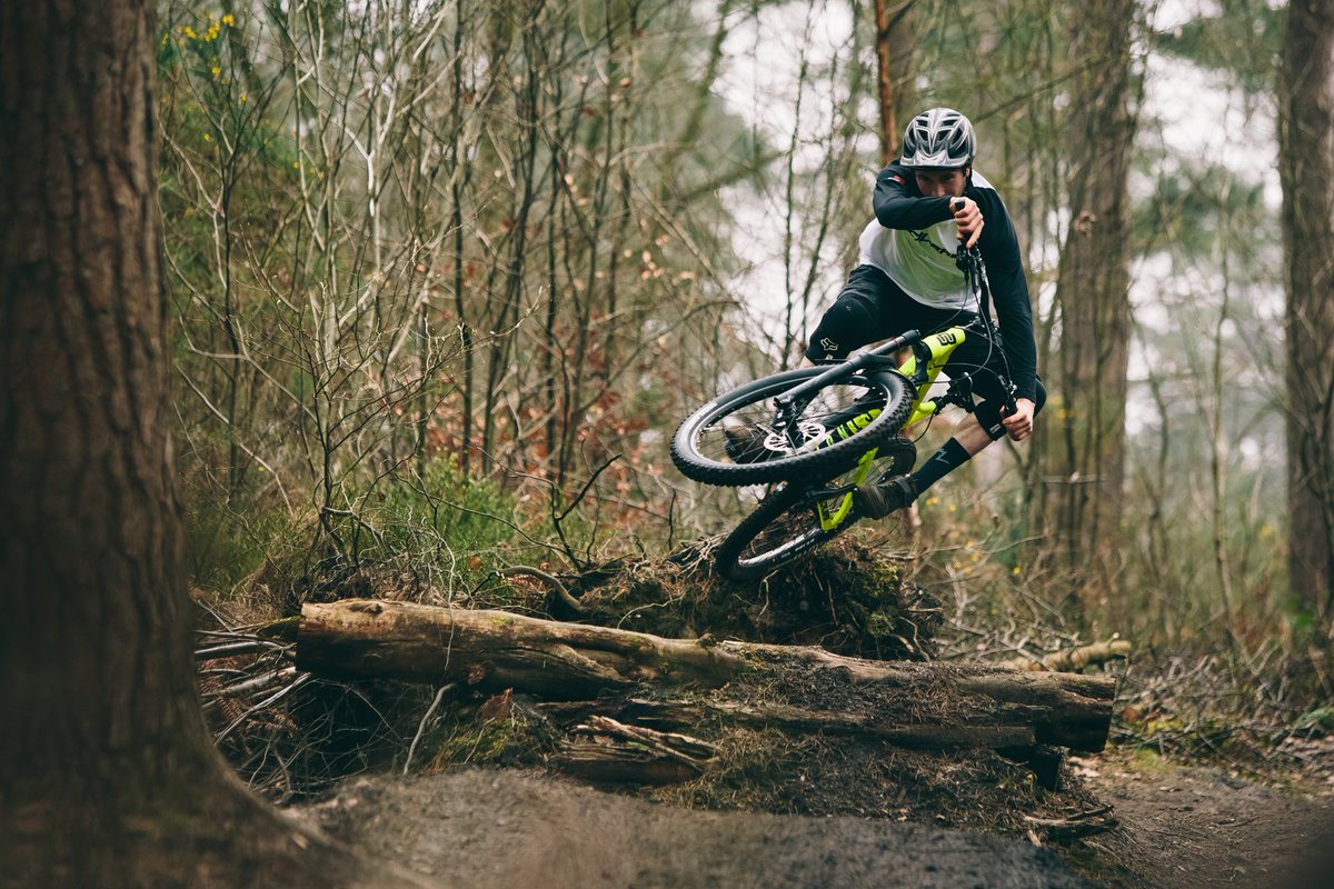 GO Outdoors tweet media
