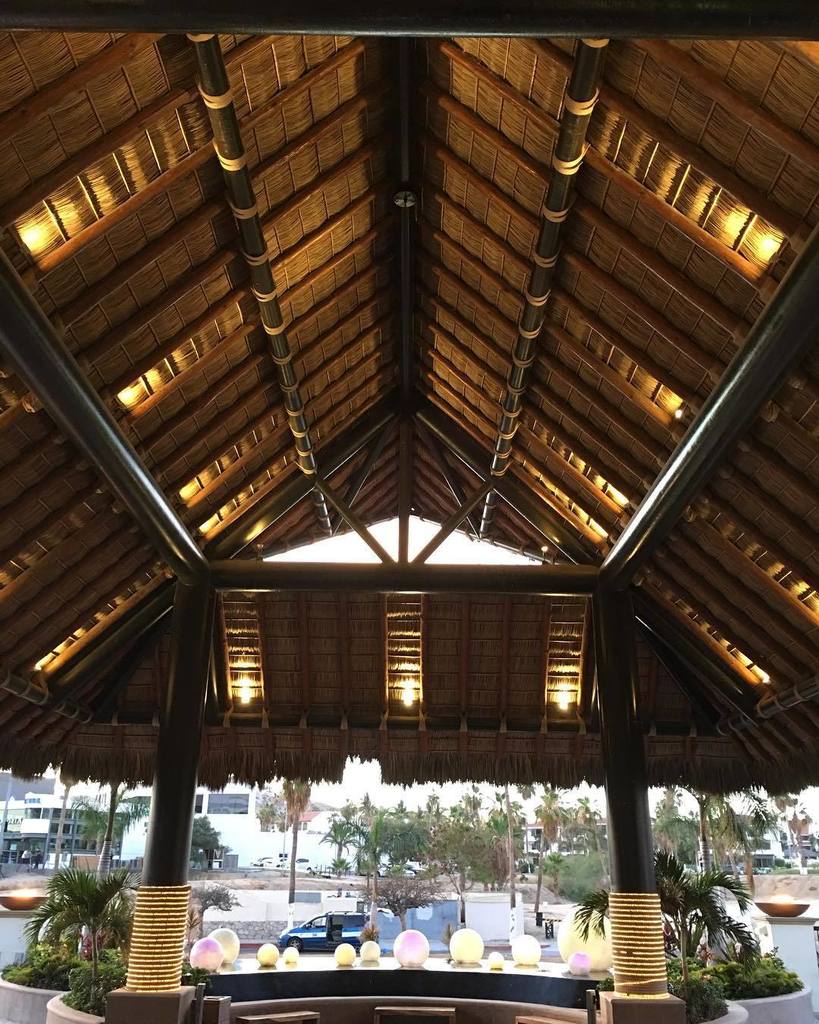 jeremyhall's tweet photo. Give me a thatched room and some sun and I'll be happy #workingadventures #hyattzivaloscabos #digitalbluephotograpโฆ https://t.co/i3MOVgjlam https://t.co/4Qt6YXG1YE