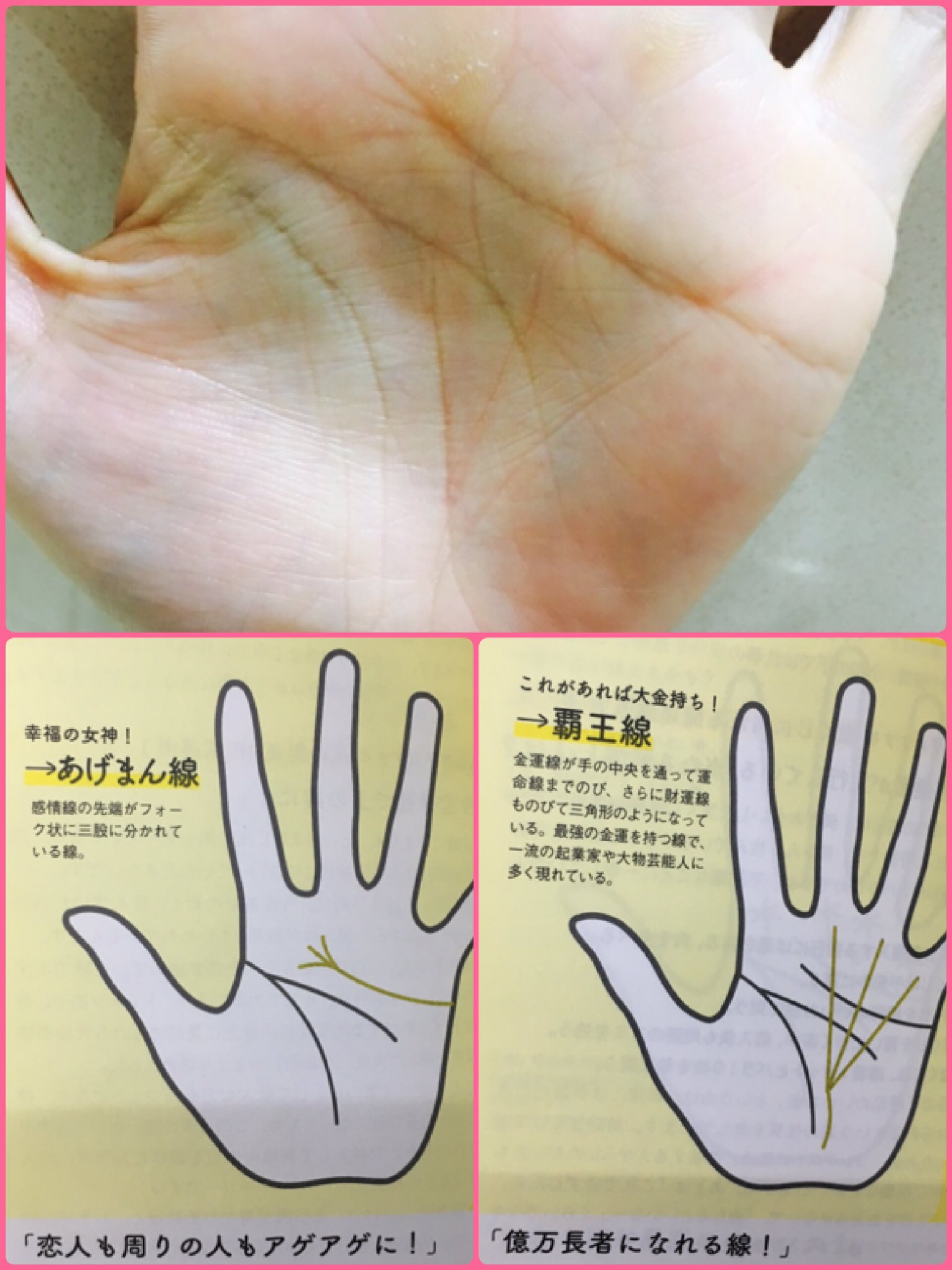 すぎまき 本能を呼び覚ます食トレ𓃭 どうやら 覇王線とあげまん線あるらしい 笑 手相 見てもらった 島田秀平 さんの本でも確かめる 幸福の女神 になれるかな 成長 努力 志 夢 感謝 愛 幸せはいつも自分の心が決める 難が有るから有難い