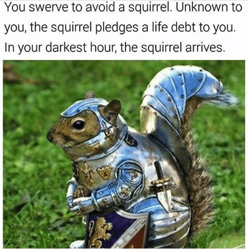 CookFiction's tweet image. #writingprompt #artprompt #amwriting