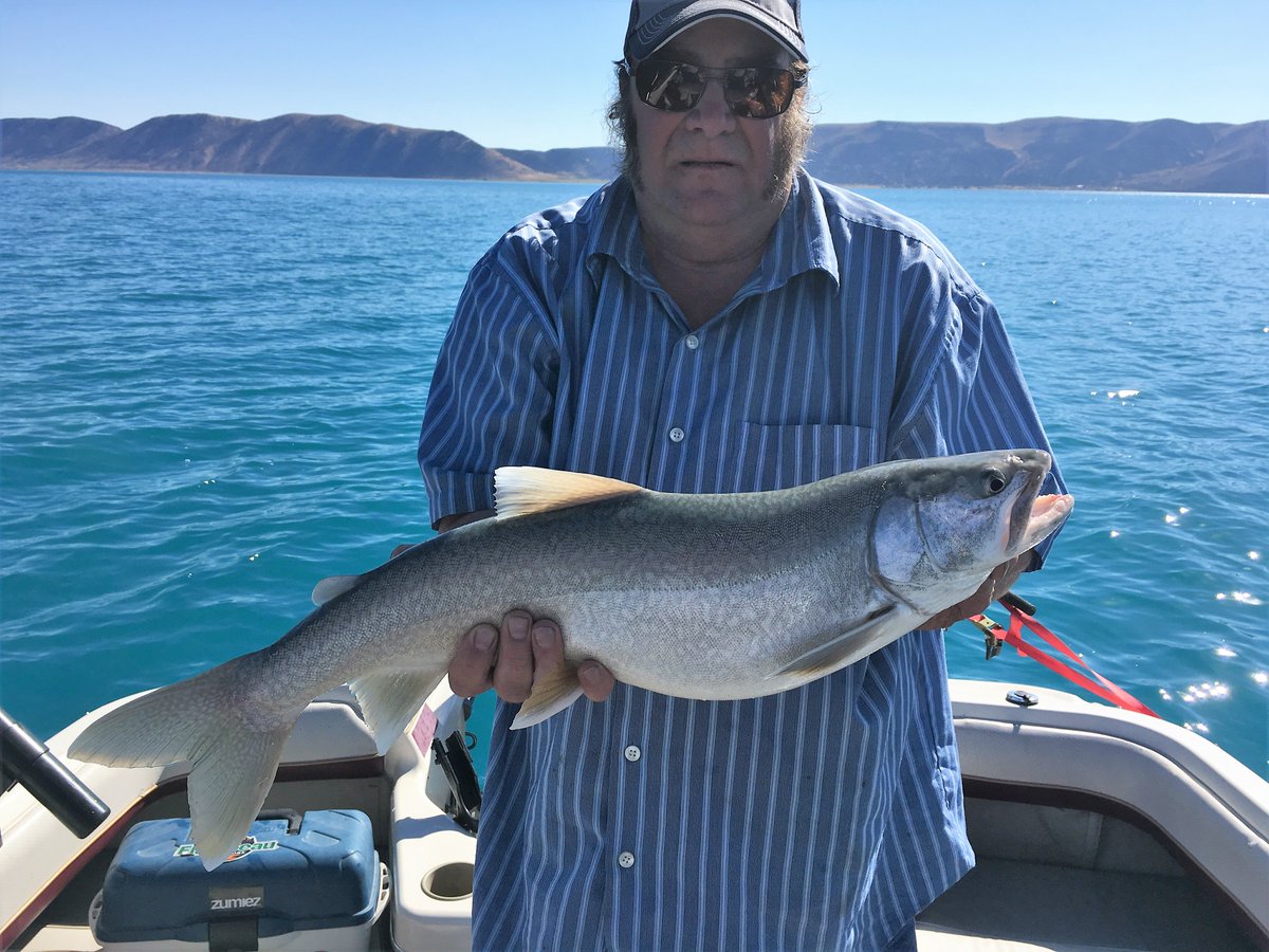 caspence501's tweet photo. #CabelasBoat#Giveaway https://t.co/ZD6sWyiP6O