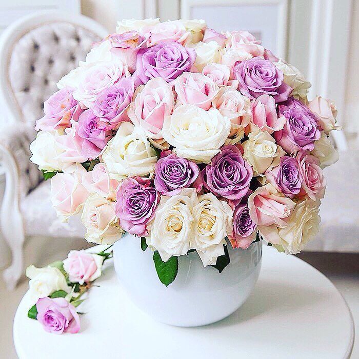 Vfashionbeauty's tweet photo. 🌸#regram #flowersdeep #neverbetter #lovethesecolors #spring #floral #flower #flowers #nature #love #garden #photog… https://t.co/Oionk4Nqs8 https://t.co/04fCviV5JY