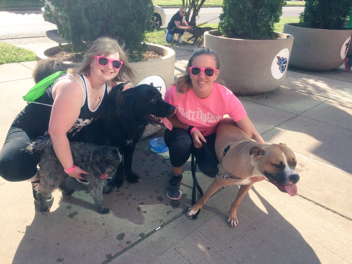 DallasTheDoggie's tweet photo. No time for photos, mom.  We have a @MuttNation walk to do! https://t.co/ijRUkoy03H