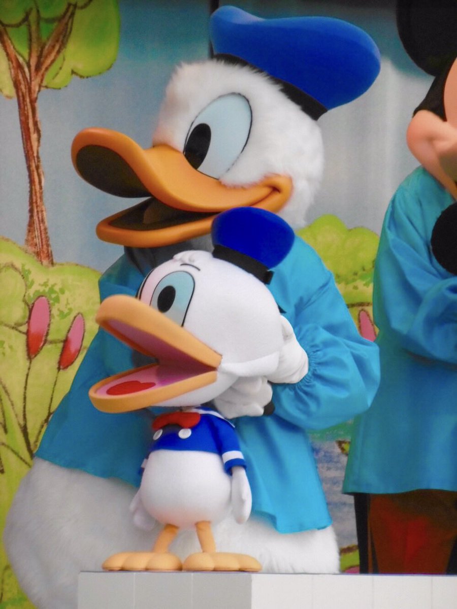 peter_tink25's tweet photo. ６月９日はドナちゃんの誕生日🎂
おちゃめでとにかくかわいくて癒し！大好き！誕生日当日に会いに行けないのは寂しいけど…また早いうちに会いに行くから待っててね💛
#ドナルドスクリーンデビュー 
#ドナルドダック生誕祭 
#6月９日 https://t.co/yNnv0eMHGA