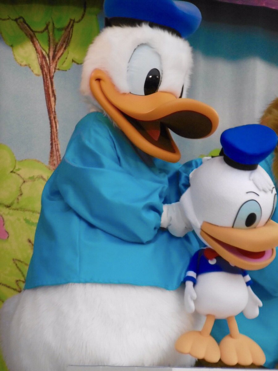 peter_tink25's tweet photo. ６月９日はドナちゃんの誕生日🎂
おちゃめでとにかくかわいくて癒し！大好き！誕生日当日に会いに行けないのは寂しいけど…また早いうちに会いに行くから待っててね💛
#ドナルドスクリーンデビュー 
#ドナルドダック生誕祭 
#6月９日 https://t.co/yNnv0eMHGA