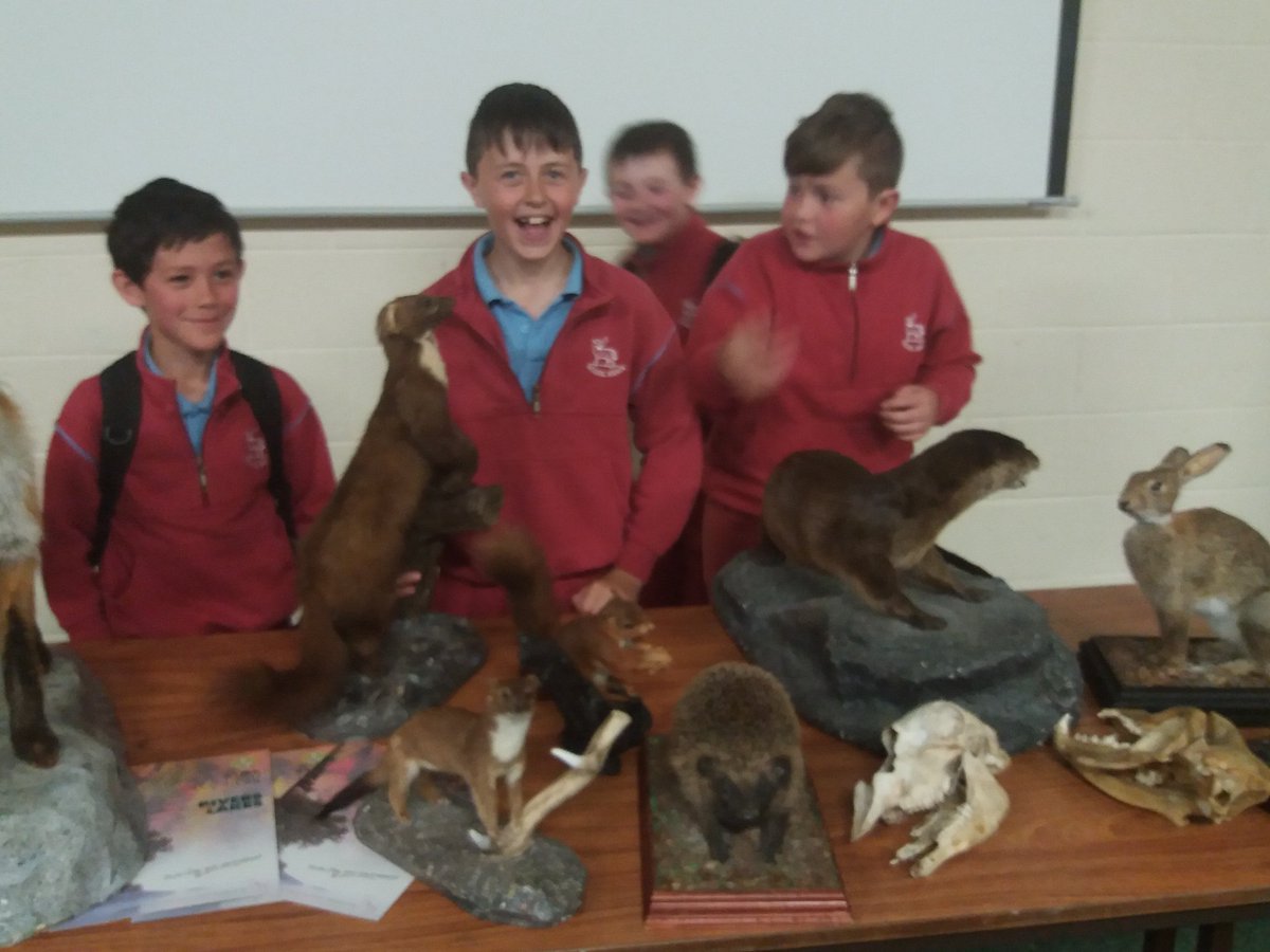 scoileoinboys's tweet photo. .@scoileoinboys #3rdClasses had great fun on the bus and at @fotawildlife #schooltour (2) https://t.co/hzPiHa9EVk
